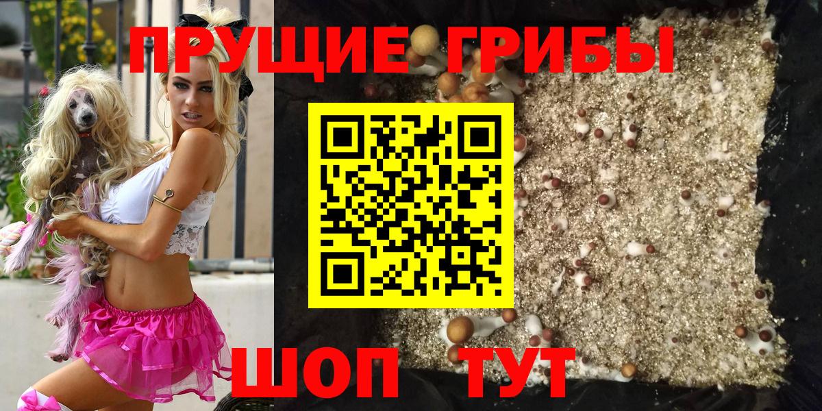 Галлюциногенные грибы Psilocybine cubensis  Псилоцибиновые грибы мухоморы  Вход с VPN  где купить наркоту  Топки 